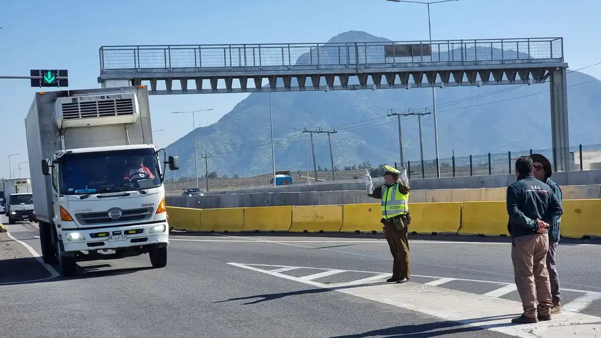 SAG Metropolitano y de O'Higgins realizan fiscalizaciones en carreteras por "Mosca de la Fruta" 16 mosca