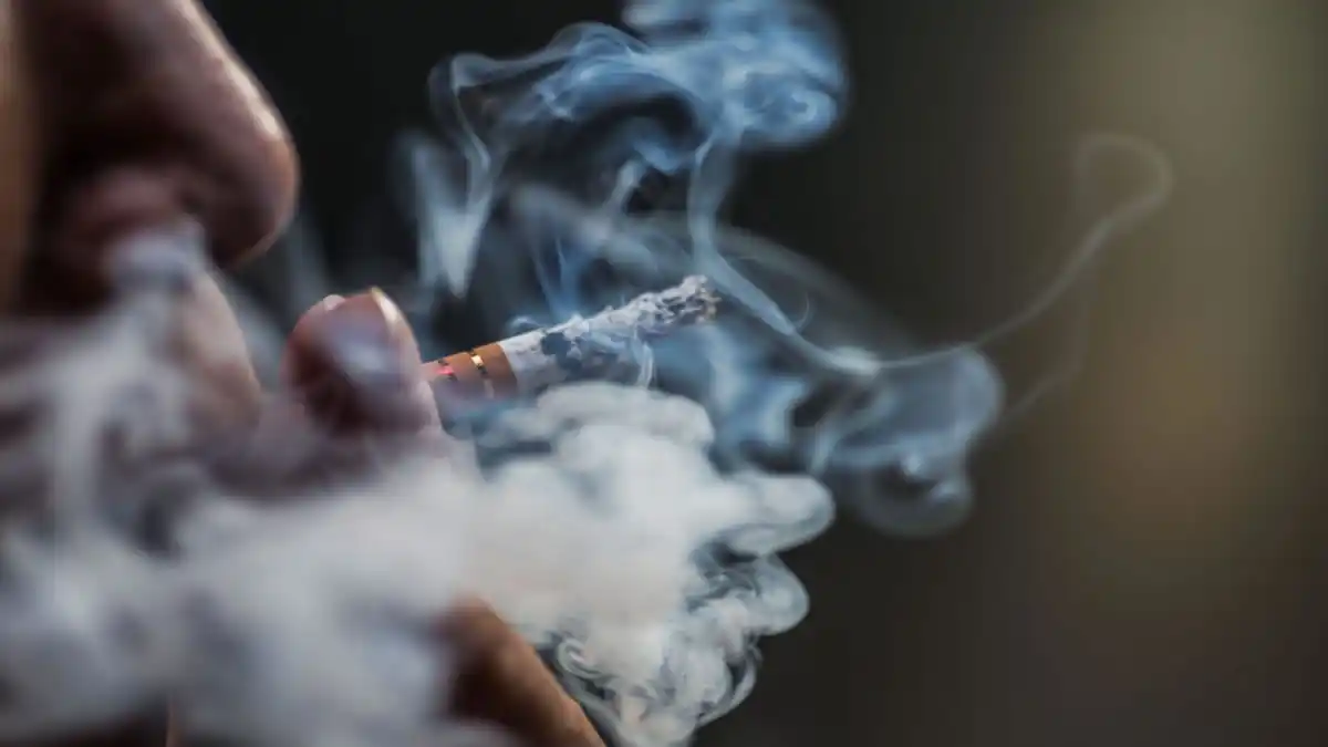 tabaco