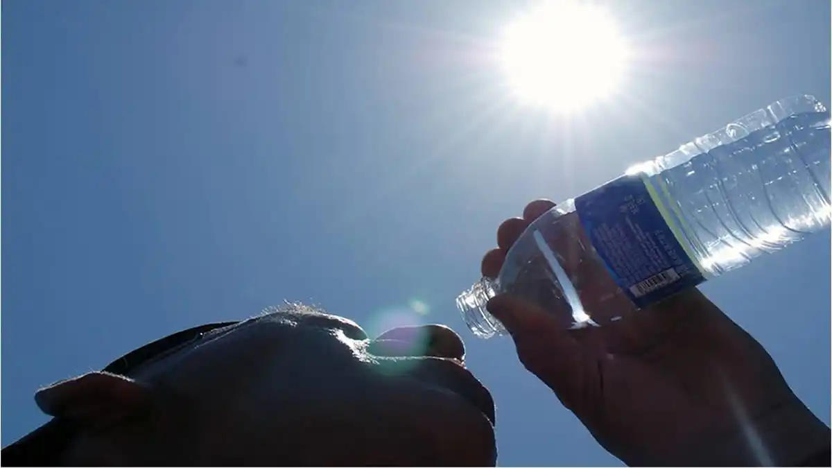 Ola de calor