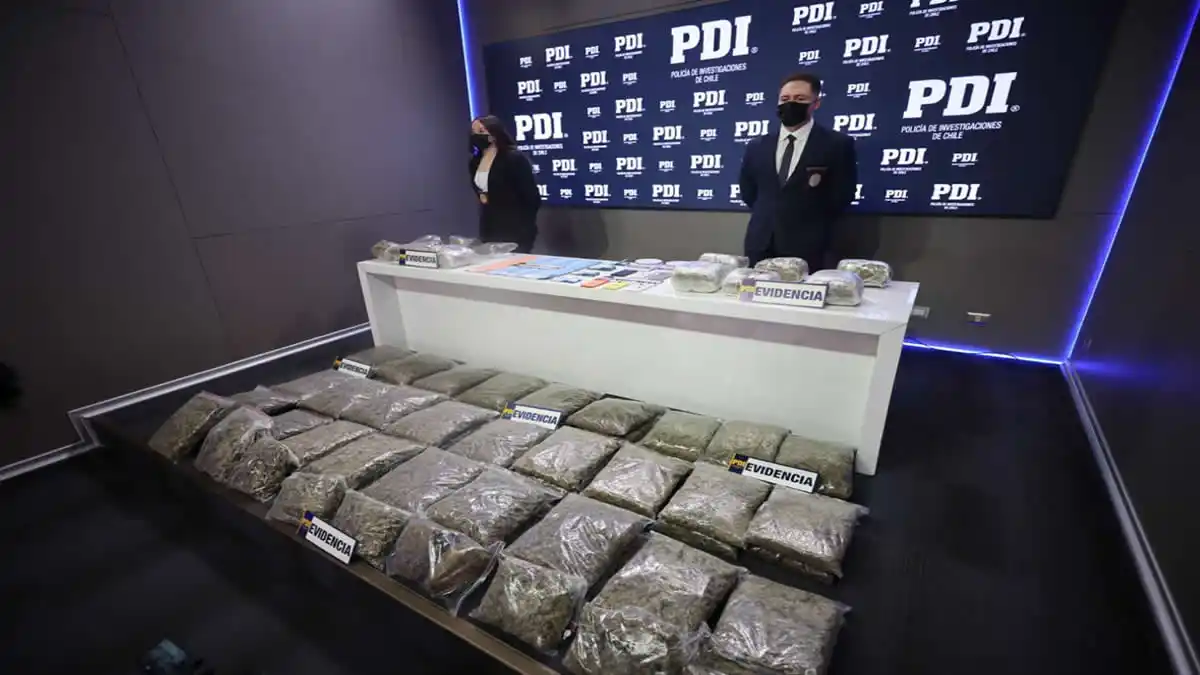 drogas pdi