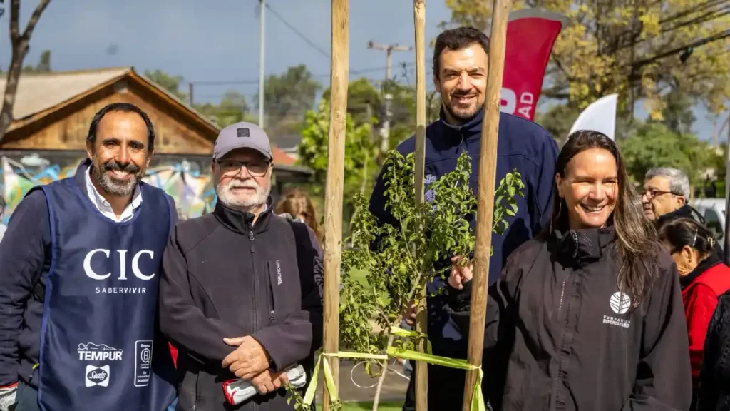 Lanzan Guía Ciudadana de Arbolado Urbano para fortalecer el cuidado de los árboles en Maipú 2 cuidado rboles maipu