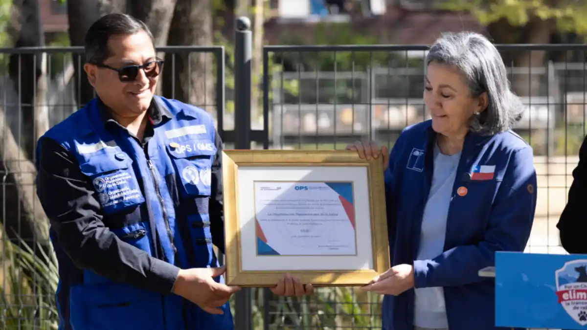 diploma rabia