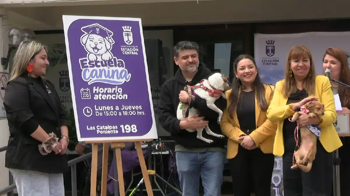 escuela canina